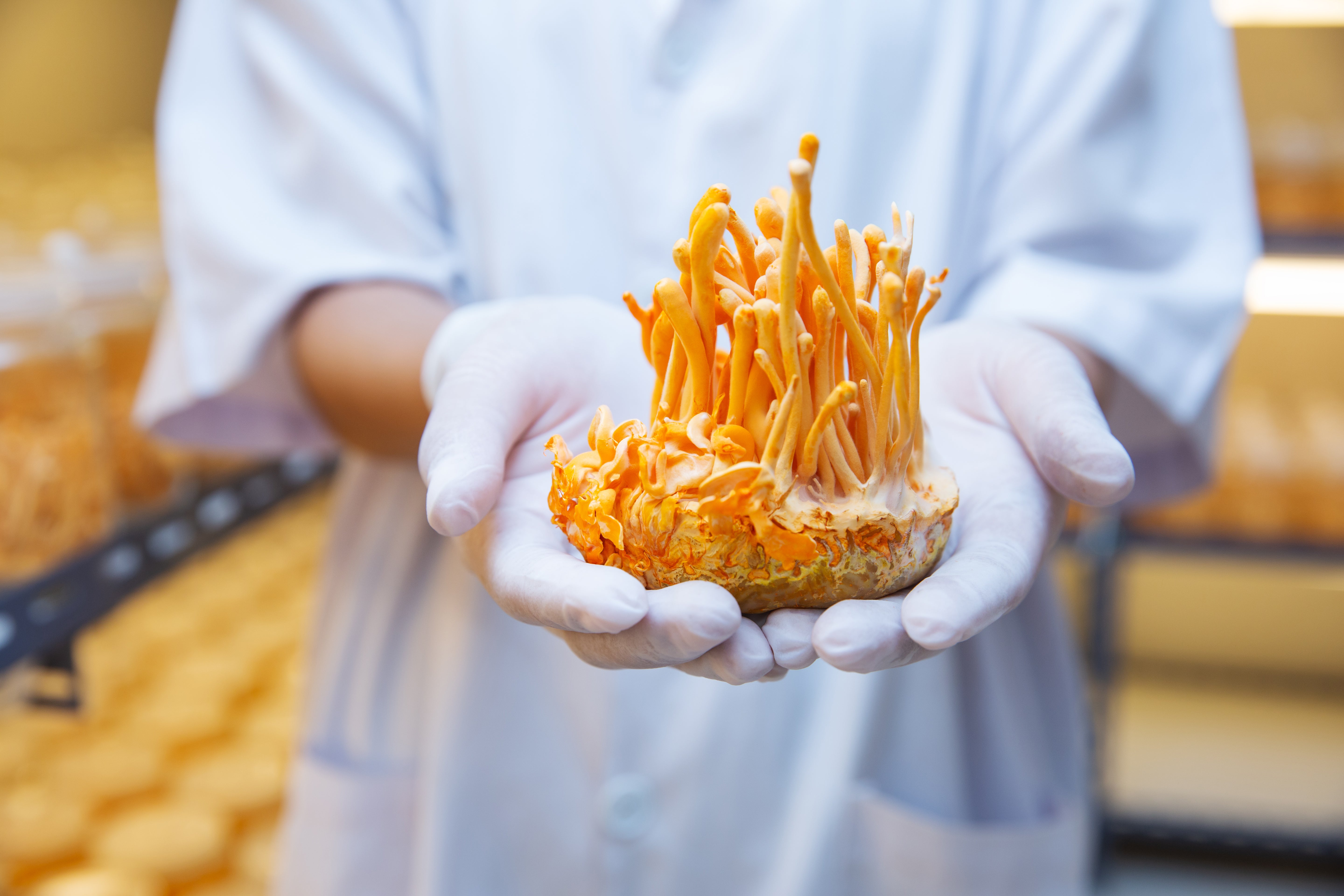 Cordycepin - The Molecular Mastermind of Energy and Immunity