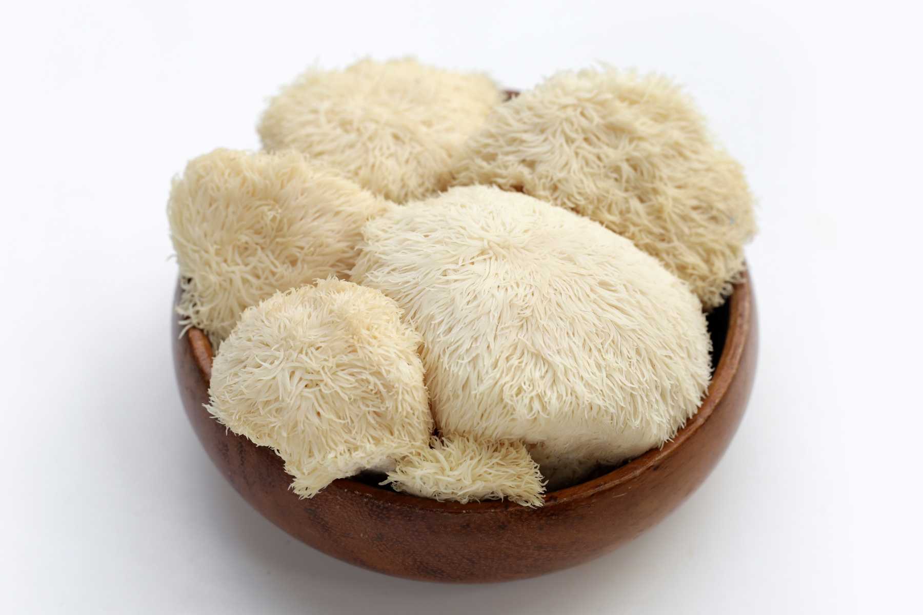 Hericenones - The Fruiting Body's Contribution to Brain Health