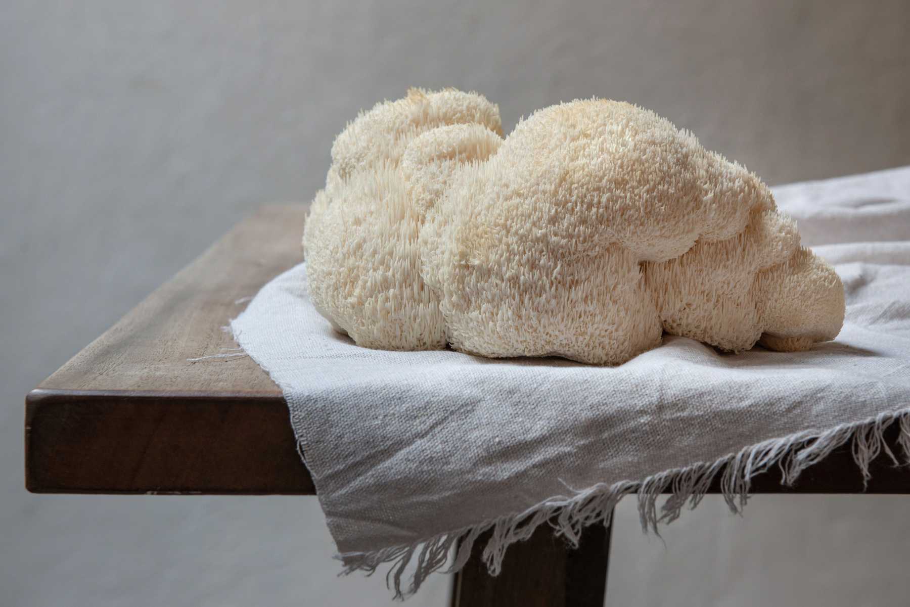Maximizing Your Brain Health - Practical Applications of Lion's Mane