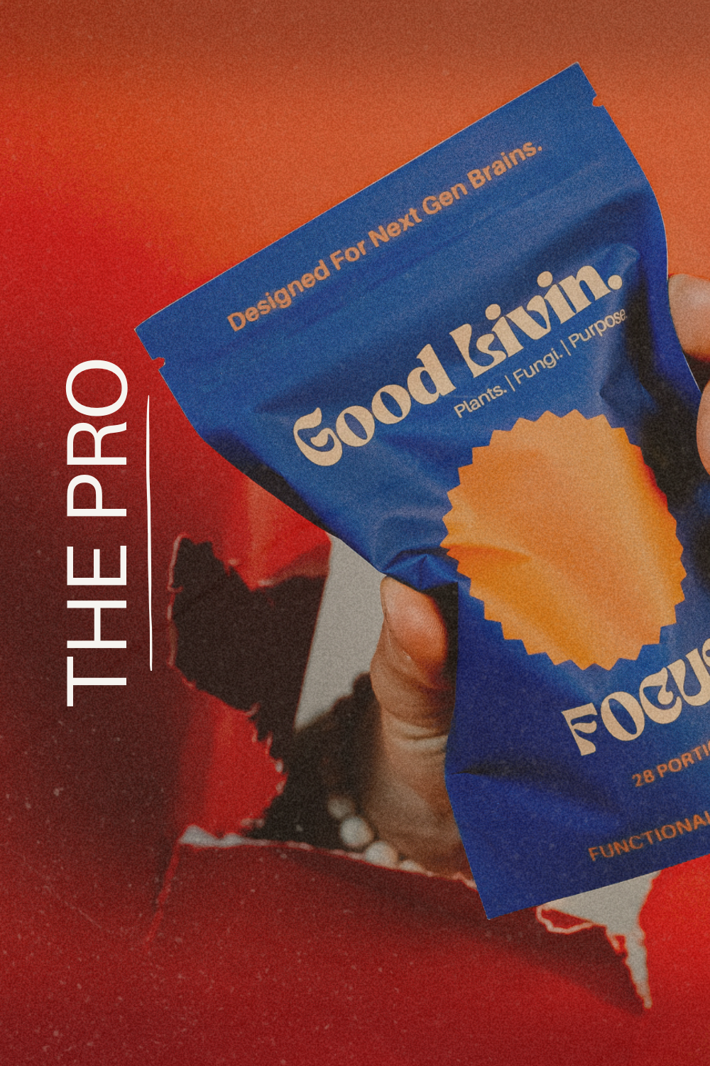 The Pro - Productivity Brain Stack