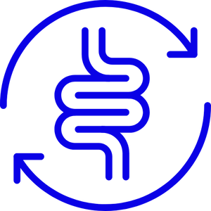 Gut immunity & microbiome support