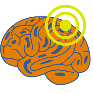 Circulation & Bioavailability