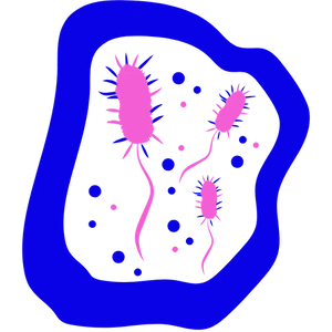 Gut lining health
