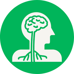 Bioavailability