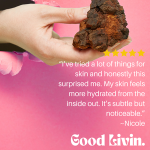 Booster: Chaga - Antioxidant + Cellular Support