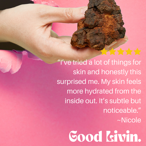 Booster: Chaga - Antioxidant + Cellular Support