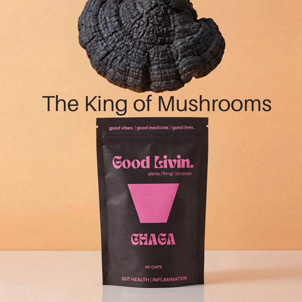 Booster: Chaga - Antioxidant + Cellular Support