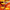 Cordyceps | Cordyfuel 10x