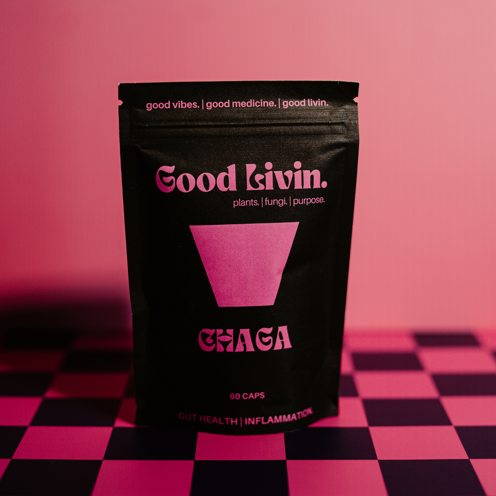 Booster: Chaga - Antioxidant + Cellular Support