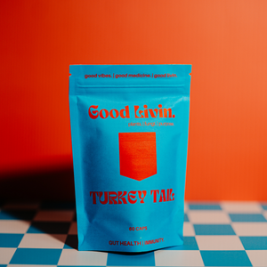 Turkey Tail  Immune + Gut Support