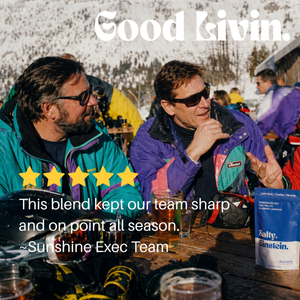 The Brain  - Productivity & Brain Health Stack