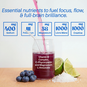 The Brain  - Productivity & Brain Health Stack