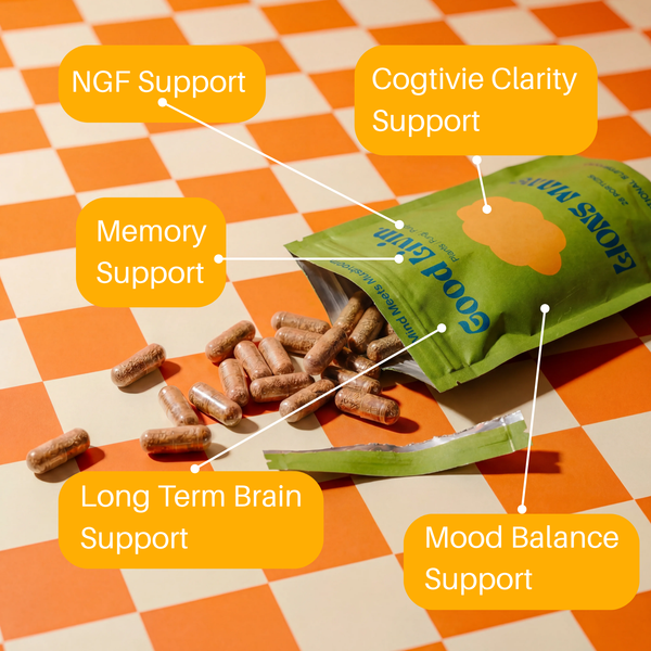 The Brain  - Productivity & Brain Health Stack