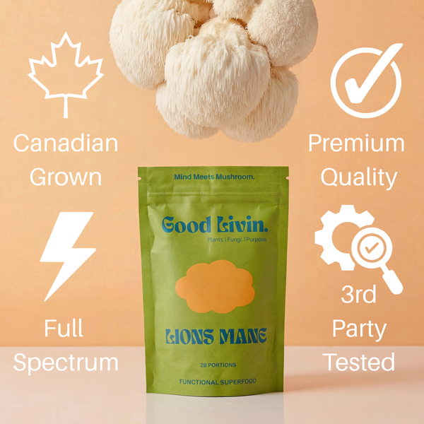 The Brain  - Productivity & Brain Health Stack