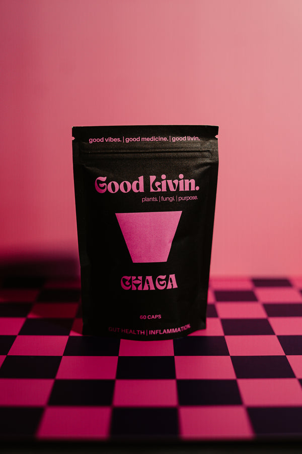 Chaga - Anti-Oxidant | Anti-Aging