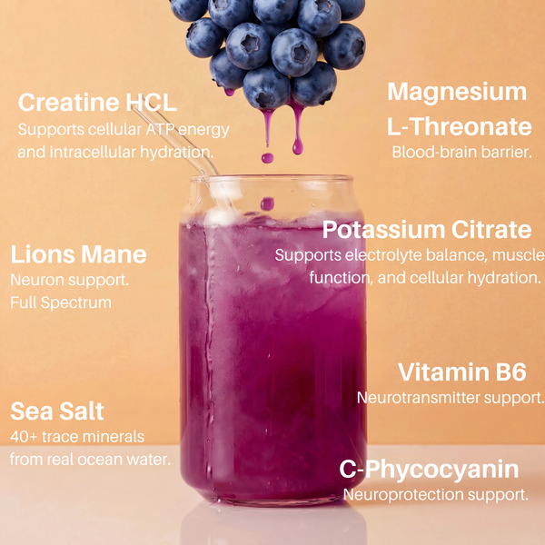 The Brain  - Productivity & Brain Health Stack