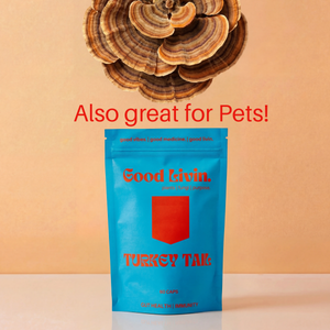 Turkey Tail  Immune + Gut Support