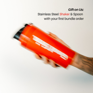 The Brain  - Productivity & Brain Health Stack