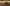 Promotion banner