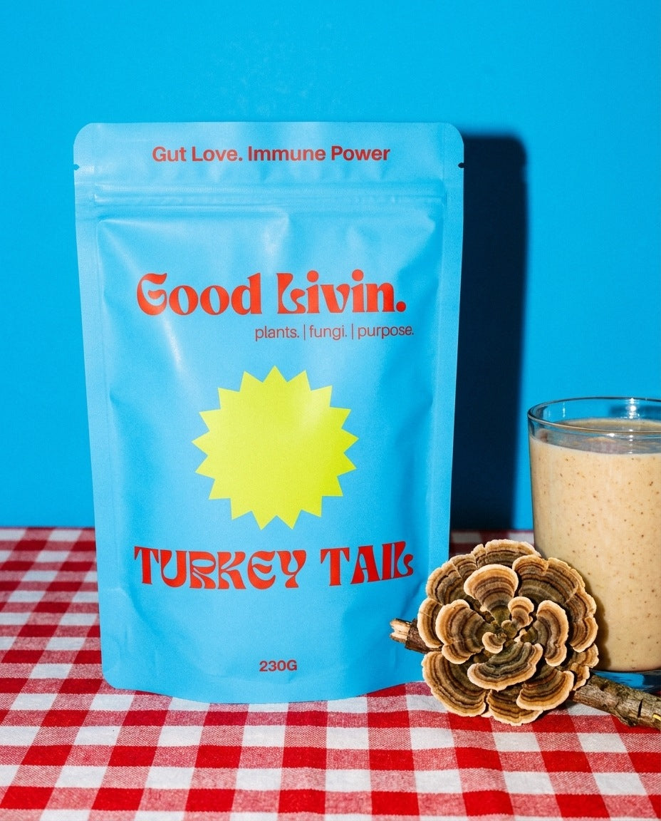 A 230g bag of Good Livin turkey tail powder on a gingham cloth with a smoothie and a turkey tail mushroom