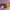 Wild Woman 20+ Bundle
